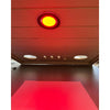 SalusHeat Red Light Therapy Supplement